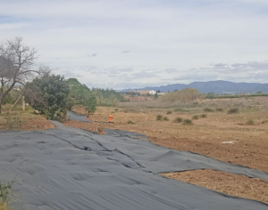 telas evitar crecimiento plantas invasoras Alfara del Patriarca