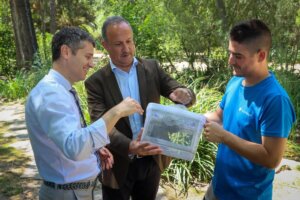 trampas mosquito tigre Torrent