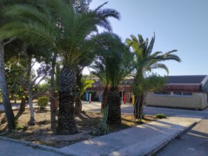 Colegio La Unión El Vedat (Torrent)