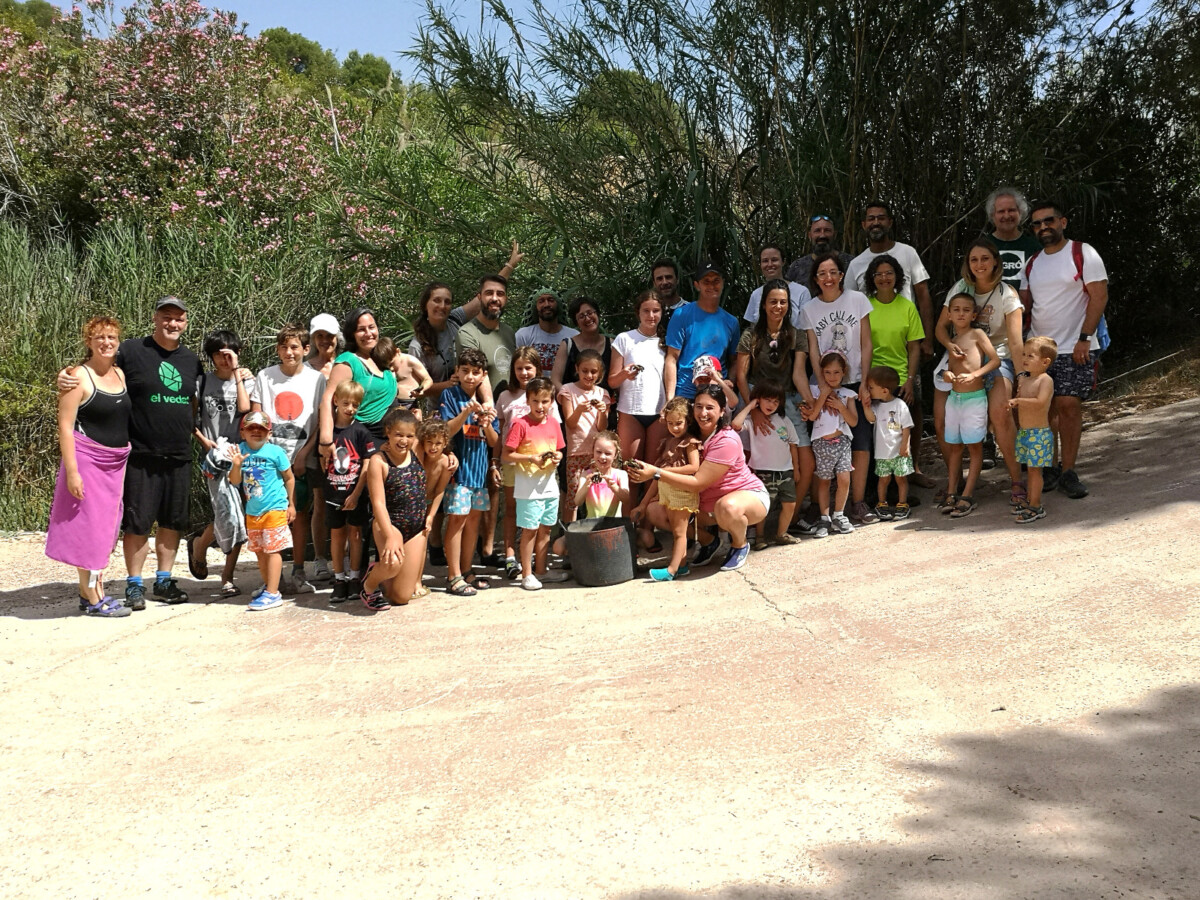 proyecto Emys Torrent