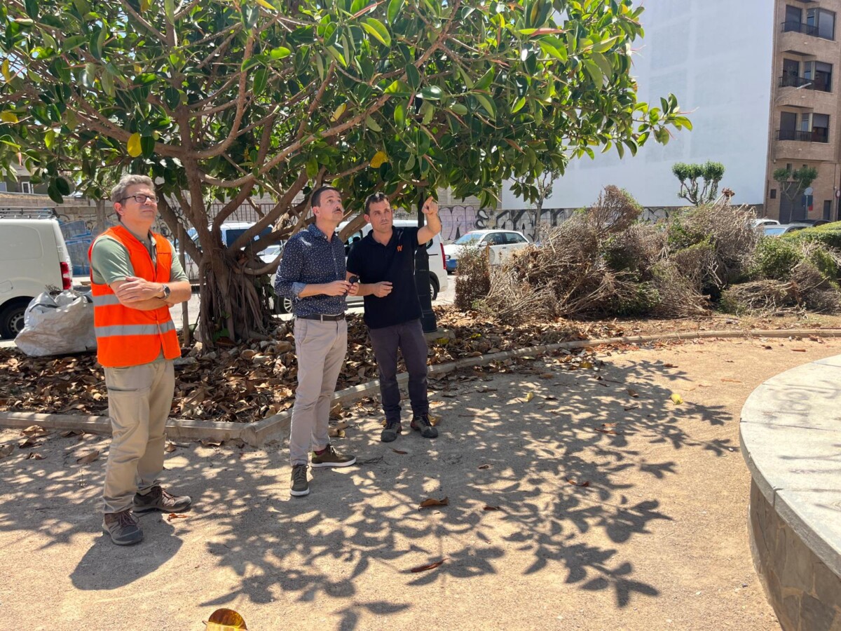 remodelación plaza Blasco Ibáñez Catarroja