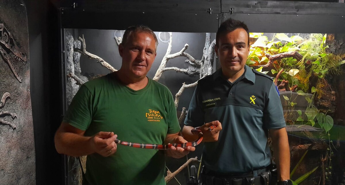 Guardia Civil entrega la falsa coral a Terra Natura Benidorm