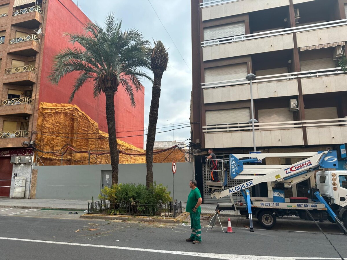 retirada de palmeras Torrent