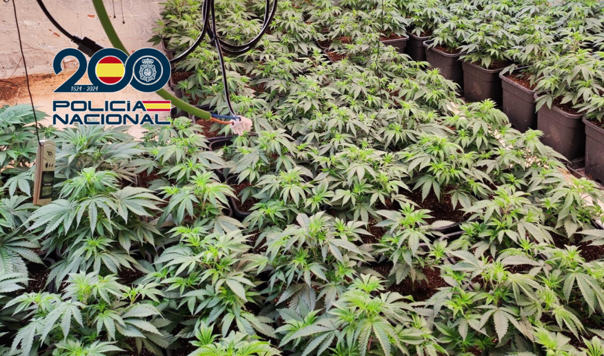 venta de droga Picassent