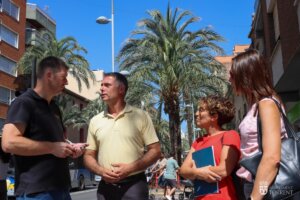 visita tecnicos Elche palmeras Torrent