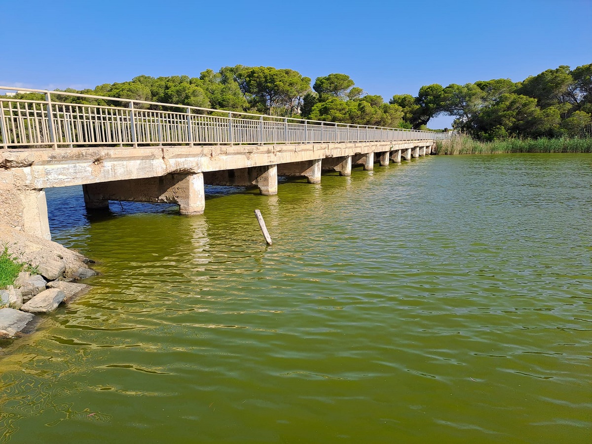 Puente de la Gola de Pujol, en el Parque Natural de l'Albufera