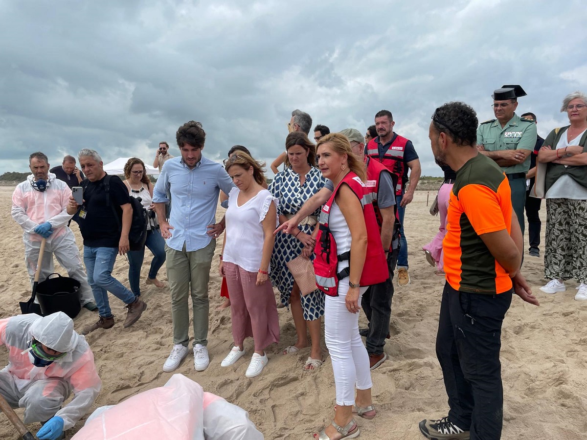 Juan Carlos Caballero, Mónica Gil y Pilar Bernabé visitan el lugar del vertido de fuel en la playa del Saler