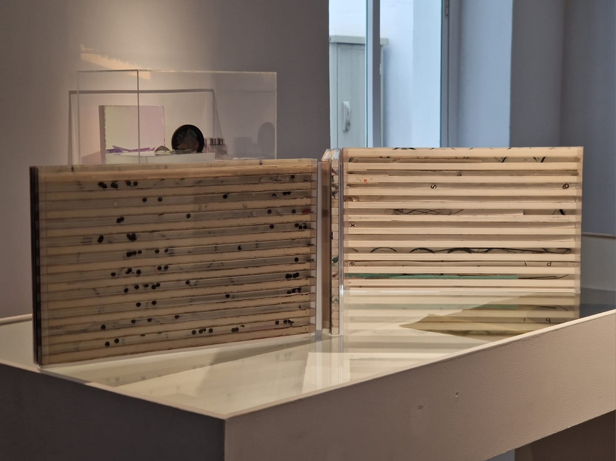 II Premi Jerònima Galés