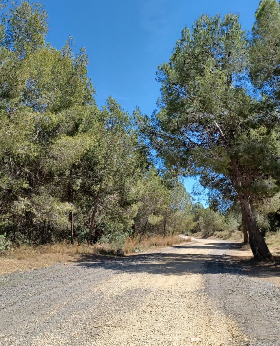Actuaciones de acondicionamiento de caminos en Paterna