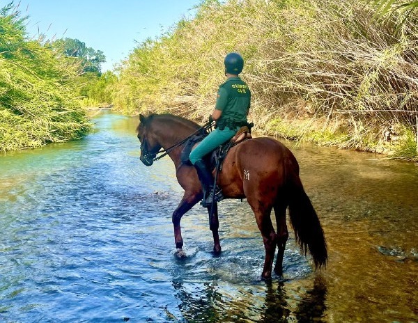Agentes de la Guardia Civil a caballo patrullando en el parque natural del río Túria