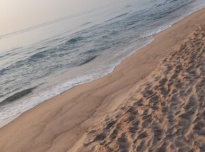 Playa de El Saler ya limpia