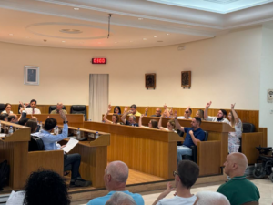 pleno municipal Paterna