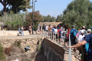 Ruta del Temps per Torrent