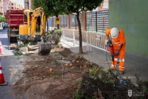 setos calle Gomez Ferrer