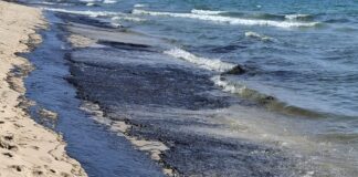 Playa del Saler afectada por un vertido de hidrocarburos