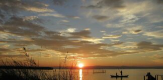 Puesta de sol en la Albufera de Valencia con barcas y vegetación