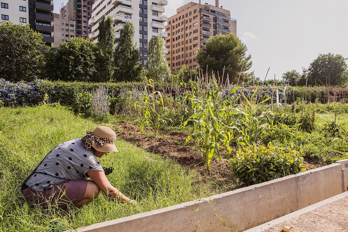 Valencia agranda su 'bosque urbano' con la plantación de más de 2.000 árboles