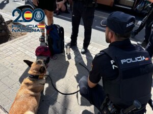 Inspección policial a un autobús en Valencia