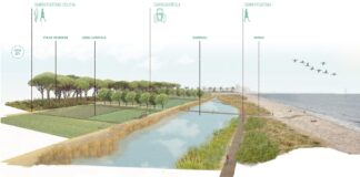 Representación del proyecto de aiguamoll en el Parc Agrari de Peixets