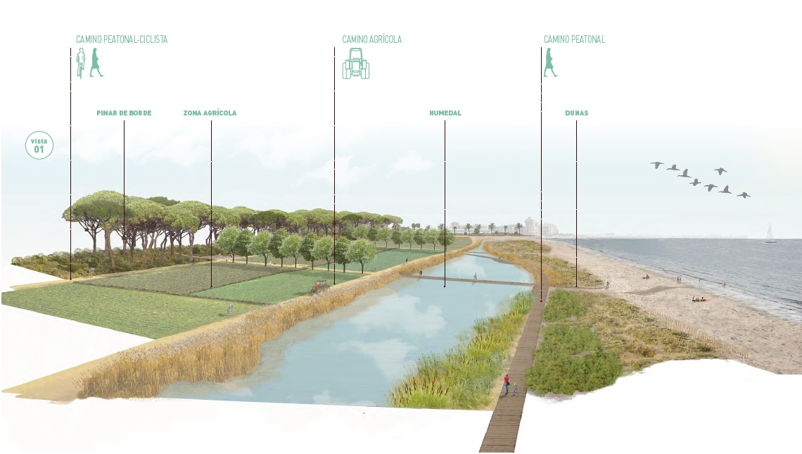 projecte d'aiguamoll artificial del Parc Agrari de Peixets