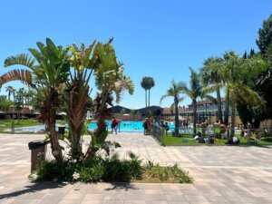 Piscina municipal de Alaquàs