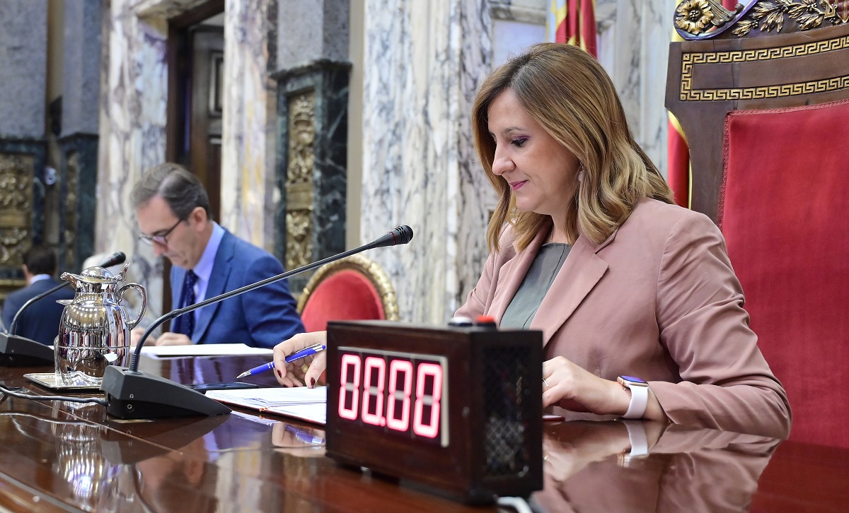 pleno septiembre María José Catalá