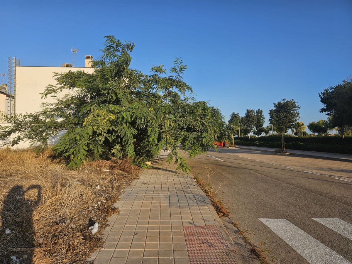 solares invadiendo acera Albalat dels Sorells Partido Popular queja