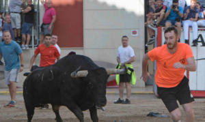 toros rafelbunyol