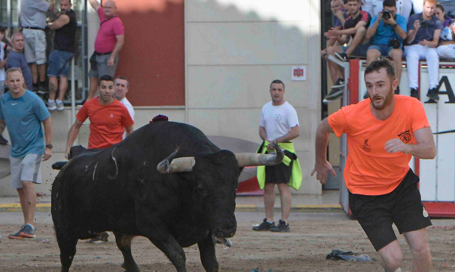 toros rafelbunyol