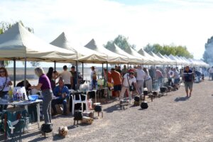 concurso allipebre Catarroja