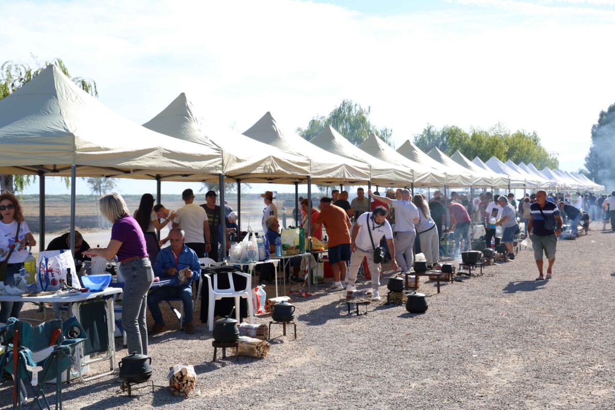 concurso allipebre Catarroja