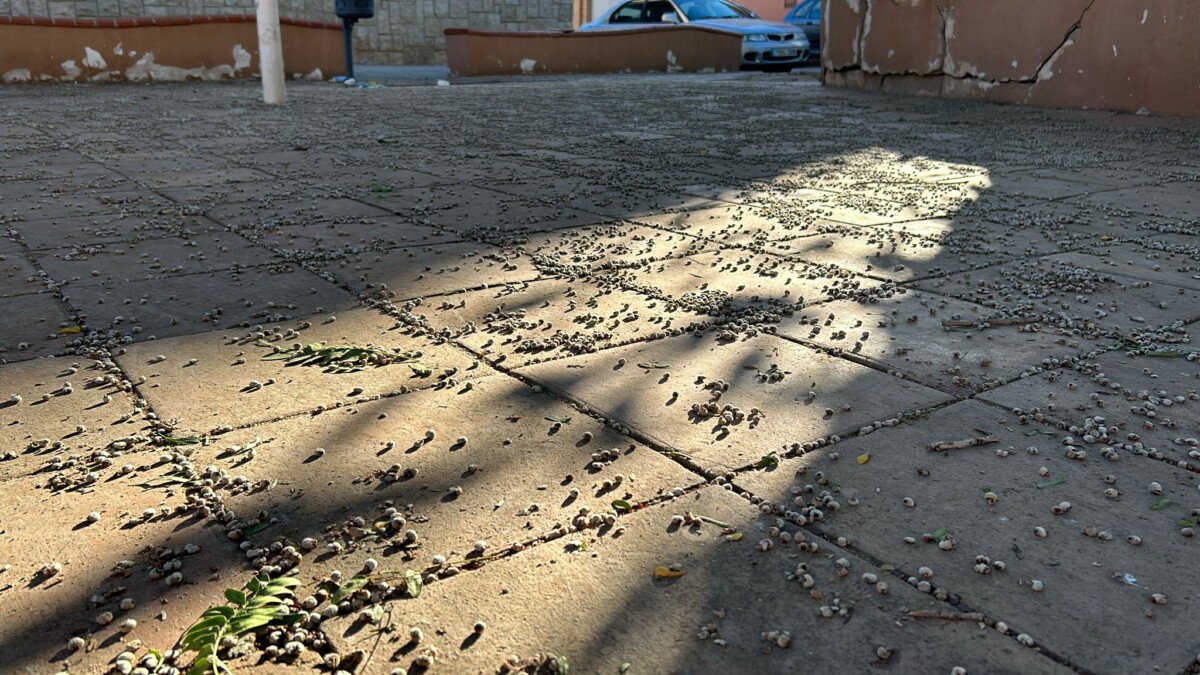 mal estado jardín Moncada