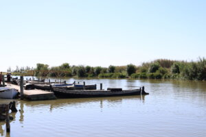 Port de Catarroja