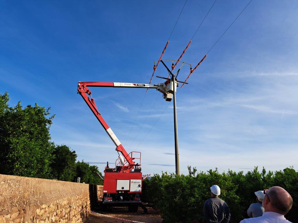 proyecto medioambiental Moncada