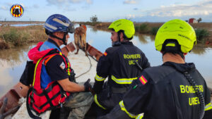 Bomberos trabajando en la Albufera de Valencia tras la DANA
