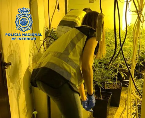Cuatro detenidos en Patraix tras desarticular un narcopiso que operaba con la venta de drogas