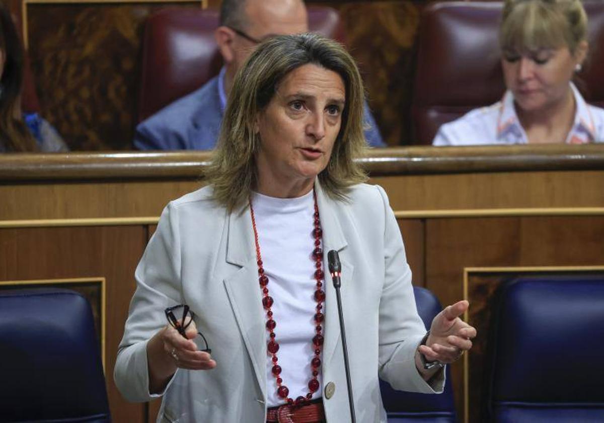 Teresa Ribera congreso de los Diputados