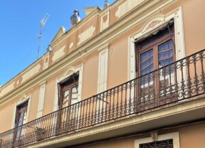 Netflix Viuda Negra Patraix escenario Manises