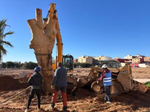 Trabajadores replantando un árbol en Catarroja con maquinaria pesada