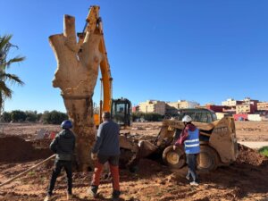DANA árbol replantado Catarroja