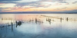 Albufera de València