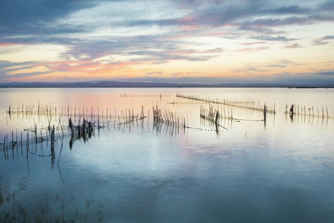 Albufera de València