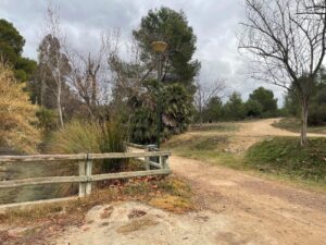 Camino en el Parc de Sant Vicent en Llíria con vegetación y farola