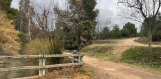 Camino en el Parc de Sant Vicent en Llíria con vegetación y farola