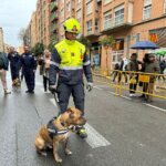 fiesta de San Antonio Abad de Valencia