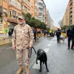 fiesta de San Antonio Abad de Valencia