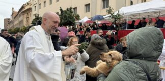 fiesta de San Antonio Abad de Valencia