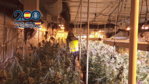operacion antidroga en Albalat dels Sorells, Alboraia, Massanassa y Paterna