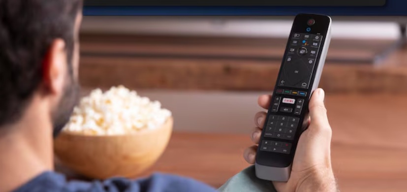 mando television telespectador