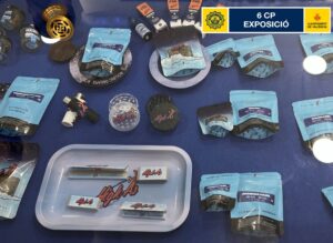 Productos decomisados por la Policía Local de Valencia en una tienda de CBD.